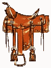 pics/saddle1.gif (6233 bytes)